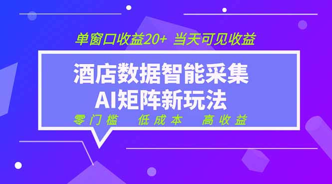 2026酒店数据采集ai智能矩阵新风口  低成本   高收益   当天见收益   单窗口20+-LanTi云网创