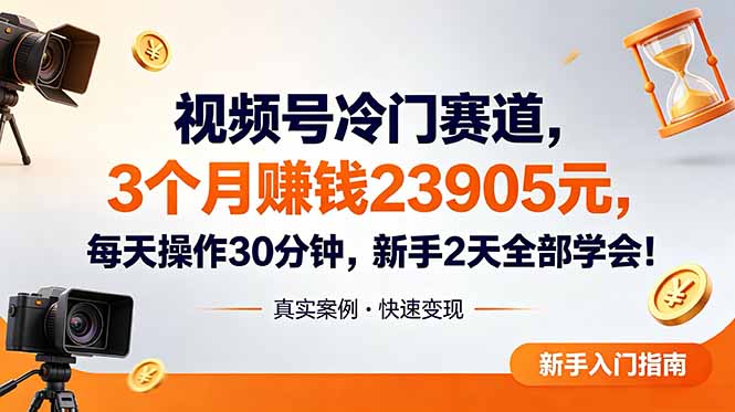 视频号冷门赛道，3个月变现23905元，新手2天学会 每天操作30分钟！-LanTi云网创
