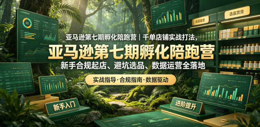 亚马逊孵化陪跑营｜千单店铺实战打法，新手合规起店、避坑选品、数据运营全落地(更新0708)-LanTi云网创