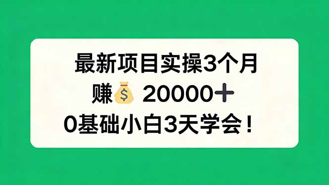 最新项目实操3个月，赚钱20000+，0基础小白3天学会！-LanTi云网创