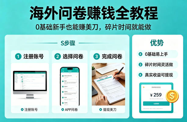 海外问卷賺钱全教程，0基础新手也能賺美刀，碎片时间就能做-LanTi云网创