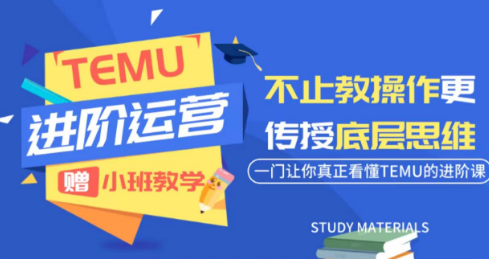 阿卡林·TEMU运营课程(基础+进阶)-LanTi云网创