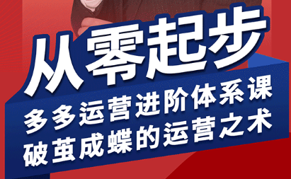 海神·拼多多运营进阶系统课(更新2026)-LanTi云网创