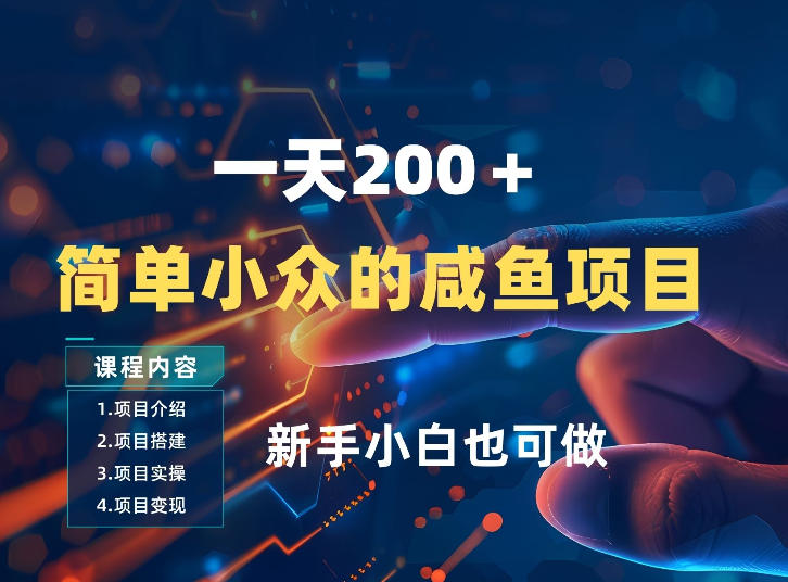 一天收入2张，一个简单小众的咸鱼项目，0门槛小白也能做-LanTi云网创