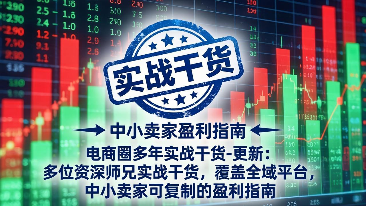 电商圈多年实战干货-更新5月20：多位资深师兄实战干货/覆盖全域平台，中小卖家可复制的盈利指南-LanTi云网创