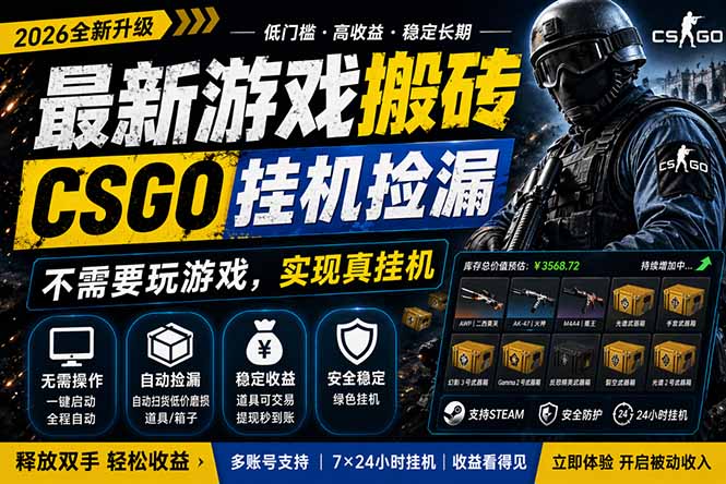 最新游戏搬砖，CSGO纯挂机，不需要玩游戏，实现真挂机，月入1W+，五一小高峰上车可吃肉，…-LanTi云网创