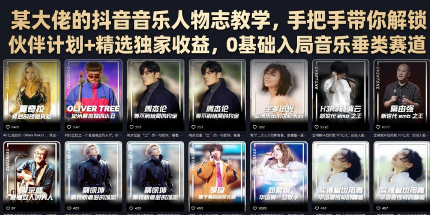 某大佬的抖音音乐人物志教学，手把手带你解锁伙伴计划+精选独家收益，0基础入局音乐垂类赛道-LanTi云网创