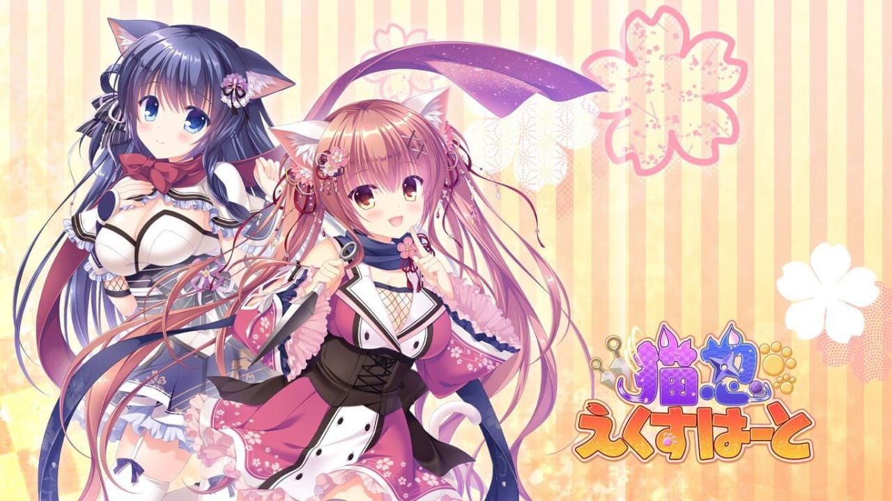猫忍之心丨Neko-Nin ExHeart-LanTi云网创