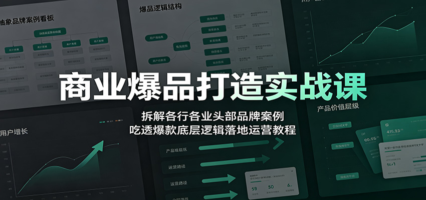 商业爆品打造实战课：拆解各行各业头部品牌案例，吃透爆款底层逻辑落地运营教程-LanTi云网创
