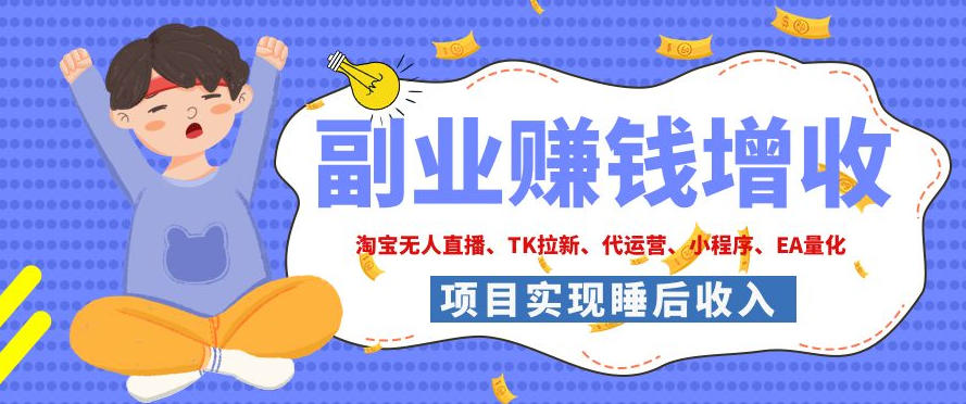 2026年多个真实落地副业项目，手把手带你搭建被动收入管道(淘宝无人直播、海外TK拉新、CSGO饰品交易、去水印小程序等)【揭秘】-LanTi云网创