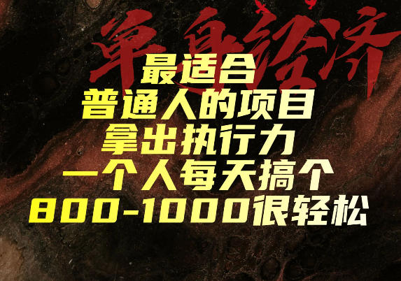 最适合普通人的项目，拿出执行力一个人每天搞个800-1k很轻松【揭秘】-LanTi云网创