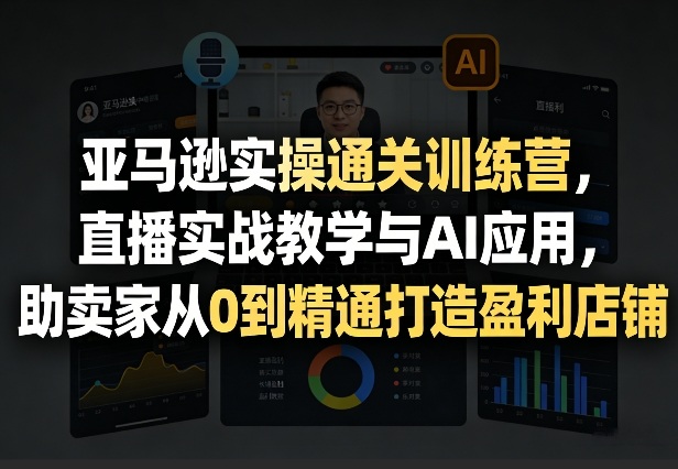 亚马逊实操通关训练营，直播实战教学与AI应用，助卖家从0到精通打造盈利店铺(更新8月8日)-LanTi云网创