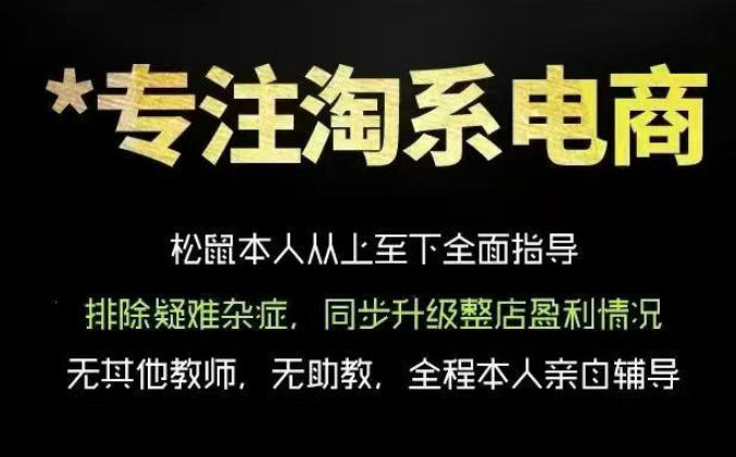 松鼠会电商VIP课程，从基础布局到高阶优化，助你掌握淘宝运营逻辑，提升店铺流量与转化(更新0823)-LanTi云网创