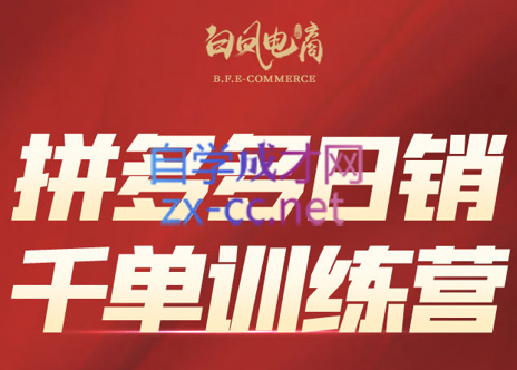 白凤电商·拼多多日销千单训练营(更新8月)-LanTi云网创