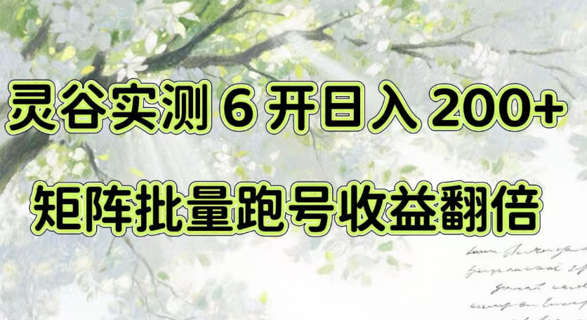 一台电脑就能做！灵谷实测6开日入200+，矩阵批量跑号收益翻倍【揭秘】-LanTi云网创
