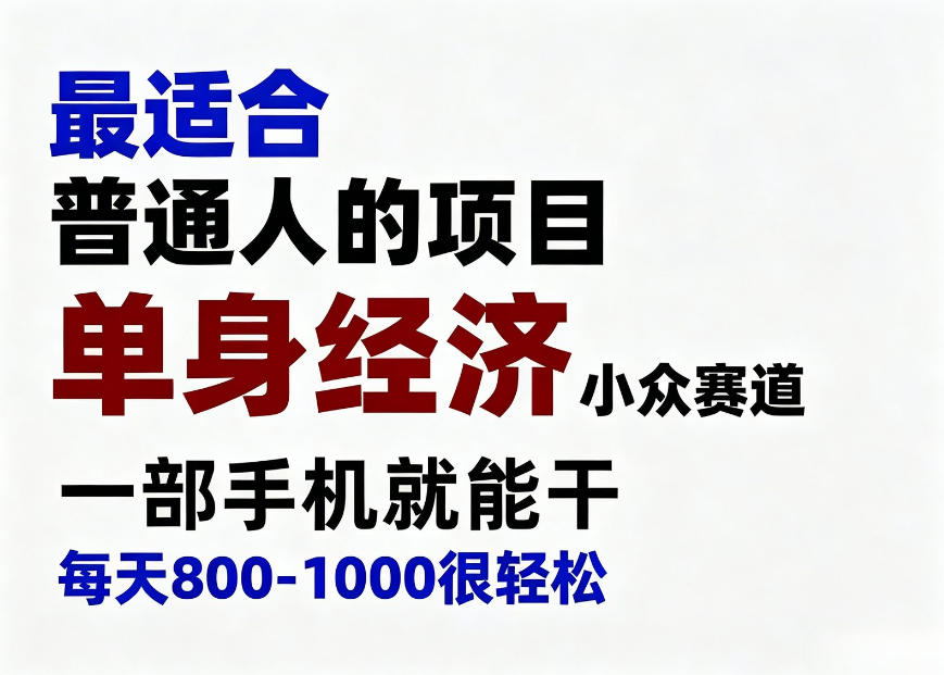 身经济小众赛道，一部手机就能干，每天搞个800-1000很轻松，最适合普通人的项目【揭秘】-LanTi云网创