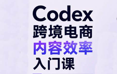 Codex跨境电商内容效率入门课-LanTi云网创
