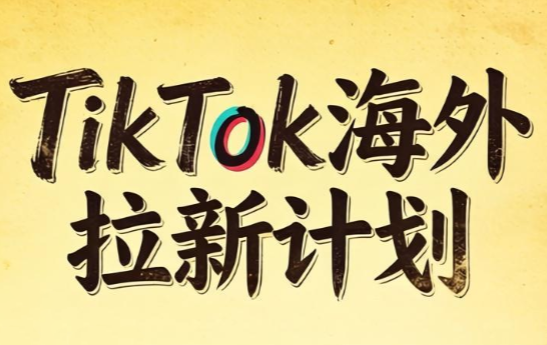 Tc联盟·TikTok海外拉新项目(更新9月)-LanTi云网创