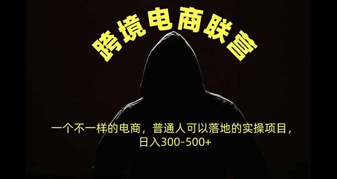 跨境电商联营，一个不一样的电商，普通人可操作日入300-500+-LanTi云网创