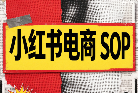书豪必胜小红书电商sop(更新9月)-LanTi云网创