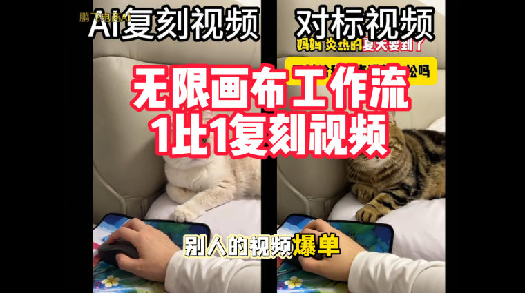 宠物带货视频复刻，无限画布工作流1比1，不用拍摄、不用布景、不用真人出镜，几分钟就能做出一条专业带货视频-LanTi云网创
