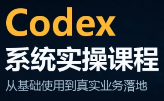 codex系统实操课程(更新10月)-LanTi云网创