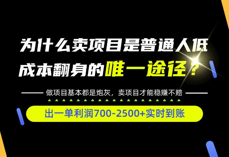普通人如何靠互联网賺取自己的第一桶金！全类目实操型教学，看完你全都懂了！【揭秘】-LanTi云网创