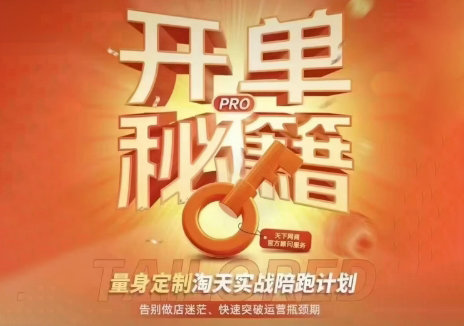 天下网商·淘宝天猫陪跑计划(更新10月)-LanTi云网创