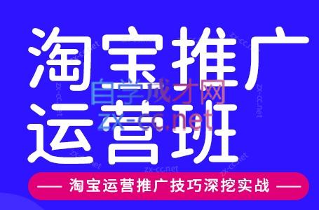 美迪电商·淘宝高级运营班+推广运营班(更新10月)-LanTi云网创