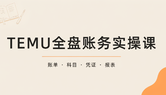 TEMU全盘账务实操课：账单导出、科目设置、利润核算-LanTi云网创
