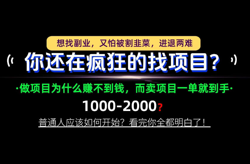 你还在疯狂的找项目？别傻了！卖项目才是真正的一本万利！怎么做，看完你全都明白！【揭秘】-LanTi云网创