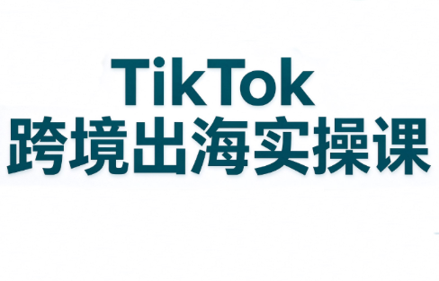 彭老师·TikTok跨境出海实操课-LanTi云网创