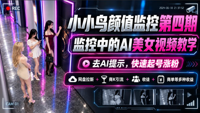 小小鸟颜值监控第四期，监控中的AI美女视频教学，去AI提示，快速起号涨粉，网盘拉新+商K引流+收徒+商单等多种收益-LanTi云网创